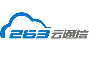 网络服务公司